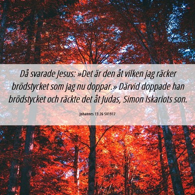 Picture 06 - Johannes 13:26 SV1917 - Då svarade Jesus: »Det är den åt vilken jag - Bible Verse Picture