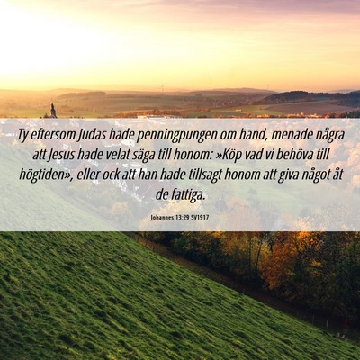 Picture 06 - Johannes 13:29 SV1917 - Ty eftersom Judas hade penningpungen om hand, - Bible Verse Picture