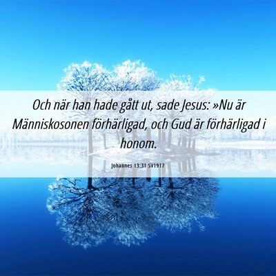 Picture 06 - Johannes 13:31 SV1917 - Och när han hade gått ut, sade Jesus: »Nu är - Bible Verse Picture
