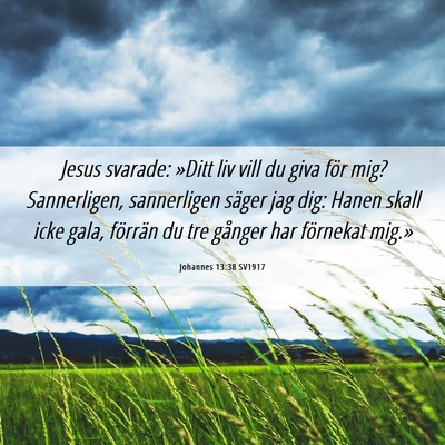 Picture 06 - Johannes 13:38 SV1917 - Jesus svarade: »Ditt liv vill du giva för mig? - Bible Verse Picture