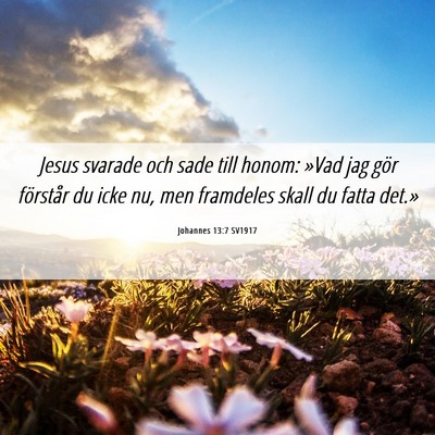 Picture 06 - Johannes 13:7 SV1917 - Jesus svarade och sade till honom: »Vad jag gör - Bible Verse Picture