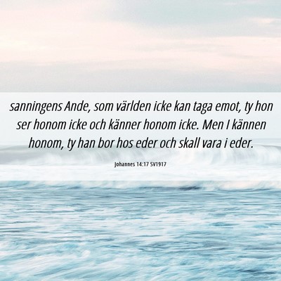 Picture 06 - Johannes 14:17 SV1917 - sanningens Ande, som världen icke kan taga emot, - Bible Verse Picture