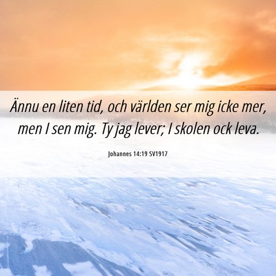 Picture 06 - Johannes 14:19 SV1917 - Ännu en liten tid, och världen ser mig icke - Bible Verse Picture