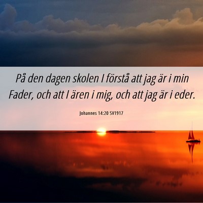 Picture 06 - Johannes 14:20 SV1917 - På den dagen skolen I förstå att jag är i min - Bible Verse Picture