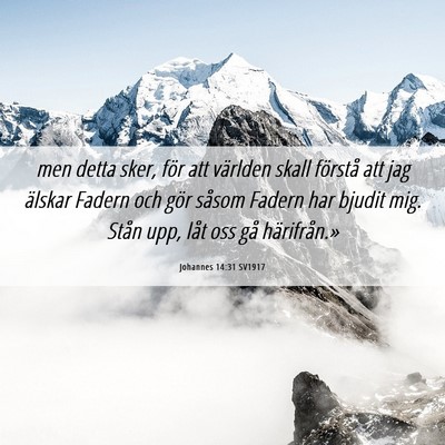 Picture 06 - Johannes 14:31 SV1917 - men detta sker, för att världen skall förstå - Bible Verse Picture