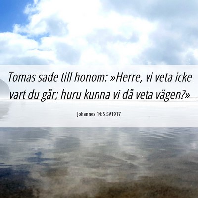 Picture 06 - Johannes 14:5 SV1917 - Tomas sade till honom: »Herre, vi veta icke vart - Bible Verse Picture
