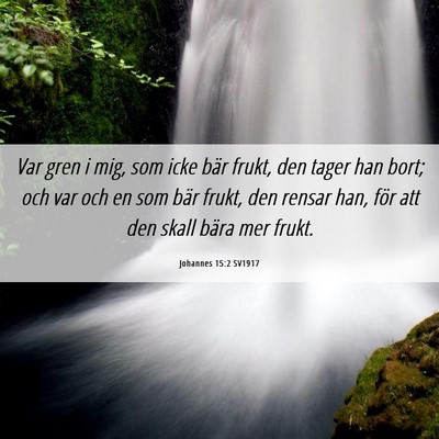 Picture 06 - Johannes 15:2 SV1917 - Var gren i mig, som icke bär frukt, den tager - Bible Verse Picture