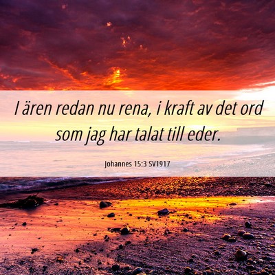 Picture 06 - Johannes 15:3 SV1917 - I ären redan nu rena, i kraft av det ord som jag - Bible Verse Picture