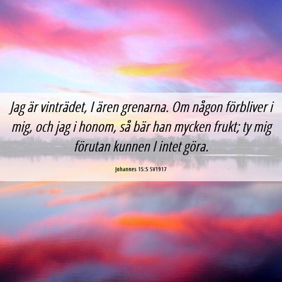 Picture 06 - Johannes 15:5 SV1917 - Jag är vinträdet, I ären grenarna. Om någon - Bible Verse Picture