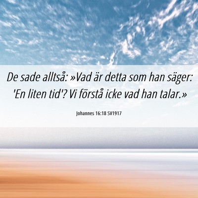 Picture 06 - Johannes 16:18 SV1917 - De sade alltså: »Vad är detta som han säger: - Bible Verse Picture