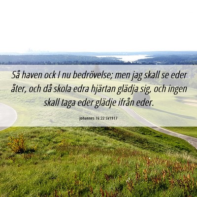Picture 06 - Johannes 16:22 SV1917 - Så haven ock I nu bedrövelse; men jag skall se - Bible Verse Picture