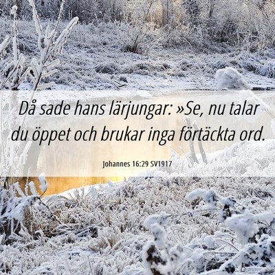 Picture 06 - Johannes 16:29 SV1917 - Då sade hans lärjungar: »Se, nu talar du - Bible Verse Picture