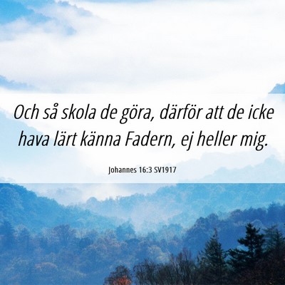 Picture 06 - Johannes 16:3 SV1917 - Och så skola de göra, därför att de icke hava - Bible Verse Picture