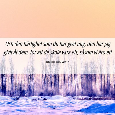 Picture 06 - Johannes 17:22 SV1917 - Och den härlighet som du har givit mig, den har - Bible Verse Picture