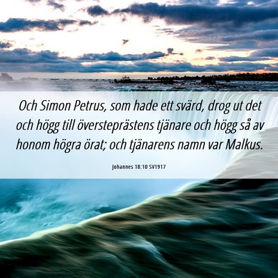 Picture 06 - Johannes 18:10 SV1917 - Och Simon Petrus, som hade ett svärd, drog ut - Bible Verse Picture