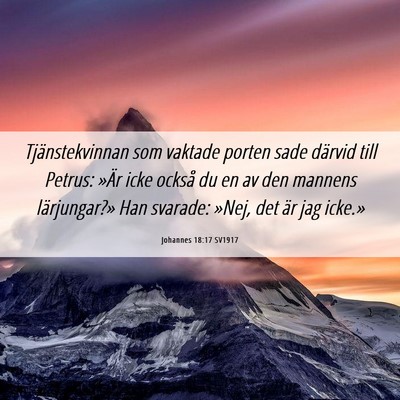 Picture 06 - Johannes 18:17 SV1917 - Tjänstekvinnan som vaktade porten sade därvid - Bible Verse Picture