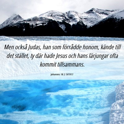 Picture 06 - Johannes 18:2 SV1917 - Men också Judas, han som förrådde honom, - Bible Verse Picture