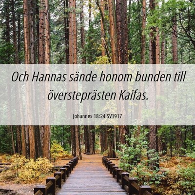 Picture 06 - Johannes 18:24 SV1917 - Och Hannas sände honom bunden till - Bible Verse Picture