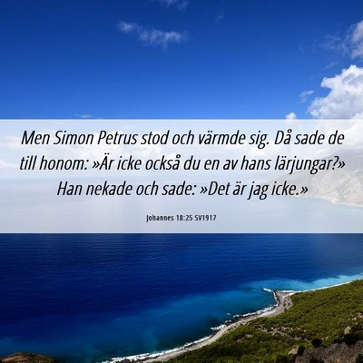 Picture 06 - Johannes 18:25 SV1917 - Men Simon Petrus stod och värmde sig. Då sade - Bible Verse Picture