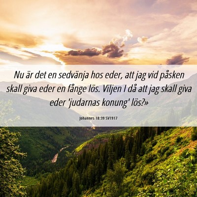 Picture 06 - Johannes 18:39 SV1917 - Nu är det en sedvänja hos eder, att jag vid - Bible Verse Picture