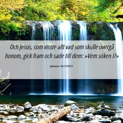 Picture 06 - Johannes 18:4 SV1917 - Och Jesus, som visste allt vad som skulle - Bible Verse Picture