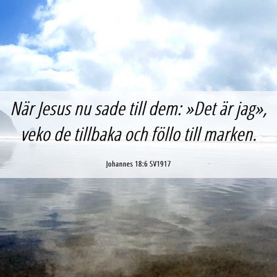 Picture 06 - Johannes 18:6 SV1917 - När Jesus nu sade till dem: »Det är jag», - Bible Verse Picture
