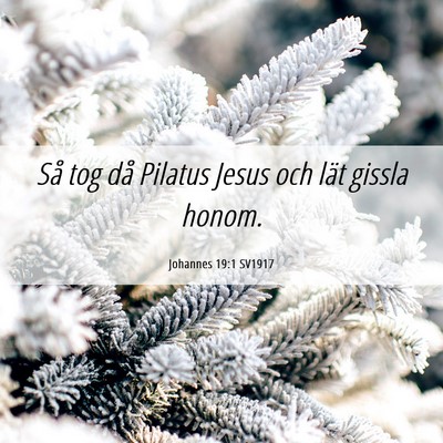 Picture 06 - Johannes 19:1 SV1917 - Så tog då Pilatus Jesus och lät gissla - Bible Verse Picture