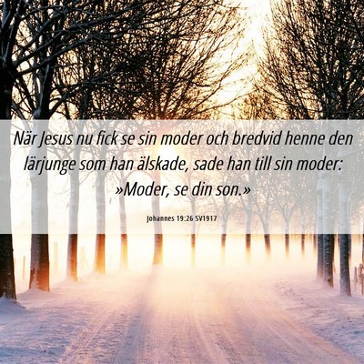 Picture 06 - Johannes 19:26 SV1917 - När Jesus nu fick se sin moder och bredvid henne - Bible Verse Picture