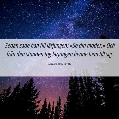 Picture 06 - Johannes 19:27 SV1917 - Sedan sade han till lärjungen: »Se din moder.» - Bible Verse Picture