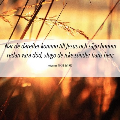 Picture 06 - Johannes 19:33 SV1917 - När de därefter kommo till Jesus och sågo - Bible Verse Picture