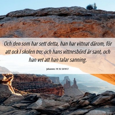 Picture 06 - Johannes 19:35 SV1917 - Och den som har sett detta, han har vittnat - Bible Verse Picture