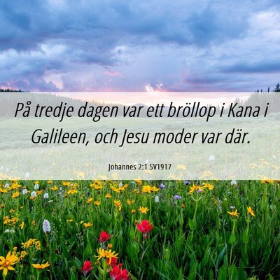 Picture 06 - Johannes 2:1 SV1917 - På tredje dagen var ett bröllop i Kana i - Bible Verse Picture