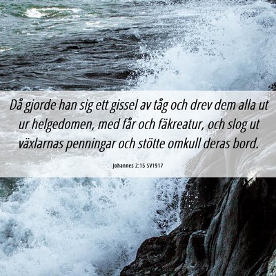 Picture 06 - Johannes 2:15 SV1917 - Då gjorde han sig ett gissel av tåg och drev - Bible Verse Picture