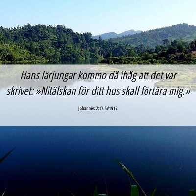 Picture 06 - Johannes 2:17 SV1917 - Hans lärjungar kommo då ihåg att det var - Bible Verse Picture