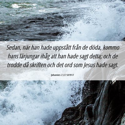 Picture 06 - Johannes 2:22 SV1917 - Sedan, när han hade uppstått från de döda, - Bible Verse Picture