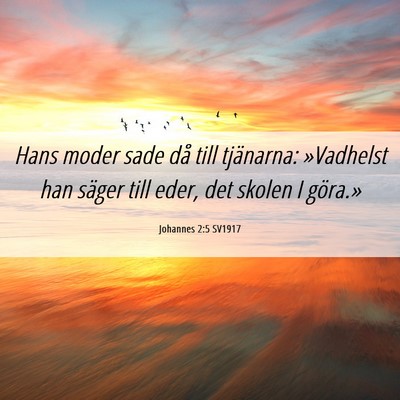 Picture 06 - Johannes 2:5 SV1917 - Hans moder sade då till tjänarna: »Vadhelst - Bible Verse Picture