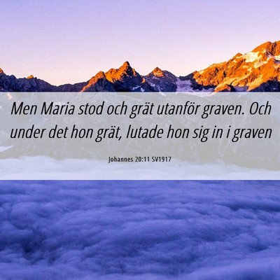 Picture 06 - Johannes 20:11 SV1917 - Men Maria stod och grät utanför graven. Och - Bible Verse Picture
