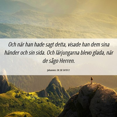 Picture 06 - Johannes 20:20 SV1917 - Och när han hade sagt detta, visade han dem sina - Bible Verse Picture