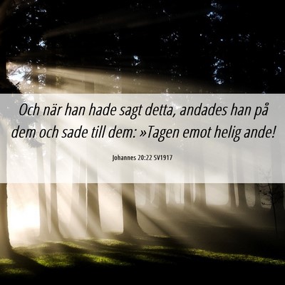 Picture 06 - Johannes 20:22 SV1917 - Och när han hade sagt detta, andades han på dem - Bible Verse Picture