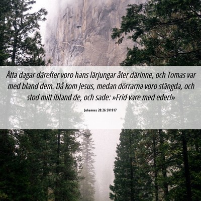 Picture 06 - Johannes 20:26 SV1917 - Åtta dagar därefter voro hans lärjungar åter - Bible Verse Picture