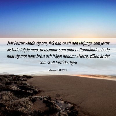 Picture 06 - Johannes 21:20 SV1917 - När Petrus vände sig om, fick han se att den - Bible Verse Picture