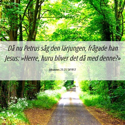 Picture 06 - Johannes 21:21 SV1917 - Då nu Petrus såg den lärjungen, frågade han - Bible Verse Picture