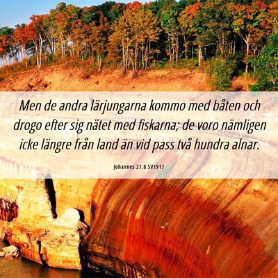 Picture 06 - Johannes 21:8 SV1917 - Men de andra lärjungarna kommo med båten och - Bible Verse Picture
