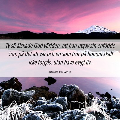 Picture 06 - Johannes 3:16 SV1917 - Ty så älskade Gud världen, att han utgav sin - Bible Verse Picture