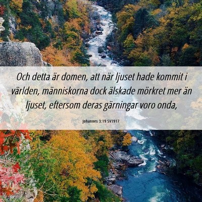 Picture 06 - Johannes 3:19 SV1917 - Och detta är domen, att när ljuset hade kommit - Bible Verse Picture