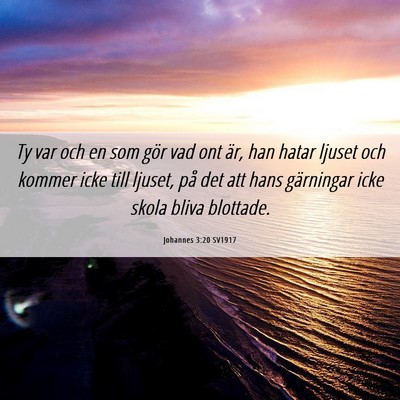 Picture 06 - Johannes 3:20 SV1917 - Ty var och en som gör vad ont är, han hatar - Bible Verse Picture