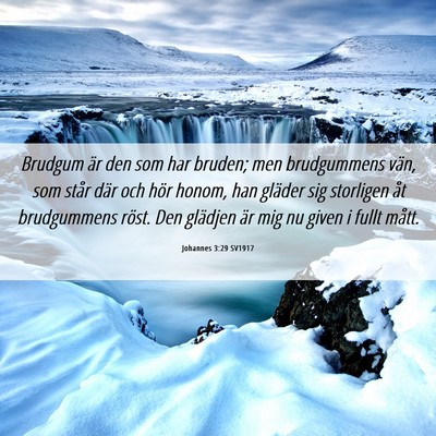Picture 06 - Johannes 3:29 SV1917 - Brudgum är den som har bruden; men brudgummens - Bible Verse Picture
