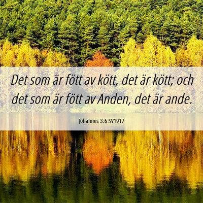 Picture 06 - Johannes 3:6 SV1917 - Det som är fött av kött, det är kött; och - Bible Verse Picture
