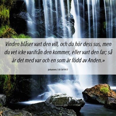Picture 06 - Johannes 3:8 SV1917 - Vinden blåser vart den vill, och du hör dess - Bible Verse Picture