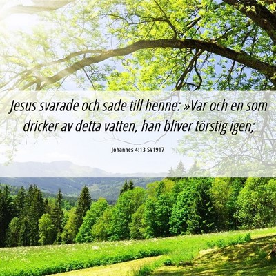 Picture 06 - Johannes 4:13 SV1917 - Jesus svarade och sade till henne: »Var och en - Bible Verse Picture